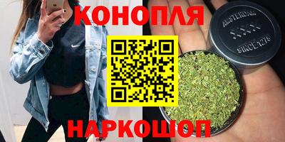 шишки Чебоксары