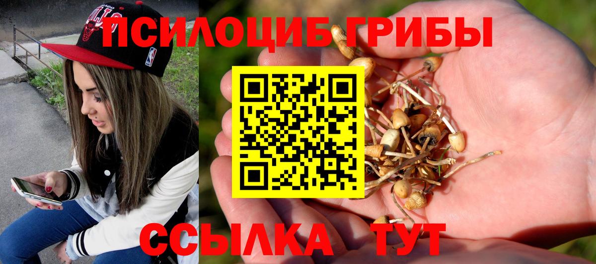 Псилоцибиновые грибы Psilocybe  Вход с VPN  Новоалтайск 